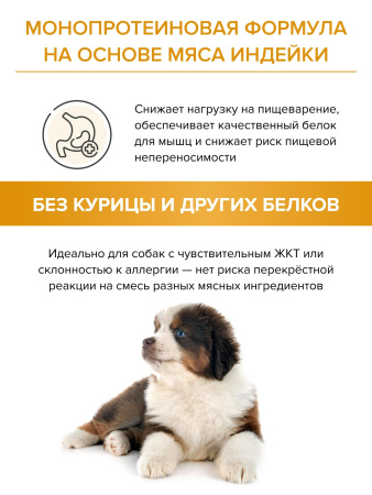 DOCTRINE сухой корм для щенков всех пород с индейкой и рисом