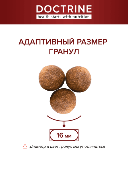 DOCTRINE сухой корм для взрослых собак средних и крупных пород с индейкой, говядиной, уткой,свежим мясом