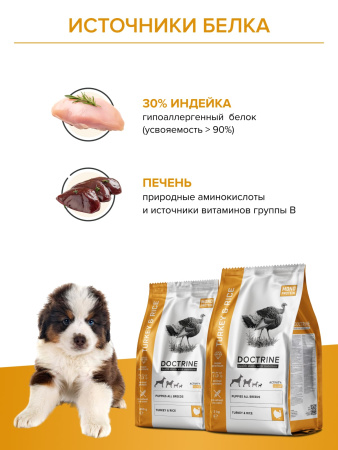 DOCTRINE сухой корм для щенков всех пород с индейкой и рисом