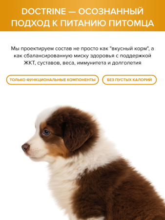 DOCTRINE сухой корм для щенков всех пород с индейкой и рисом