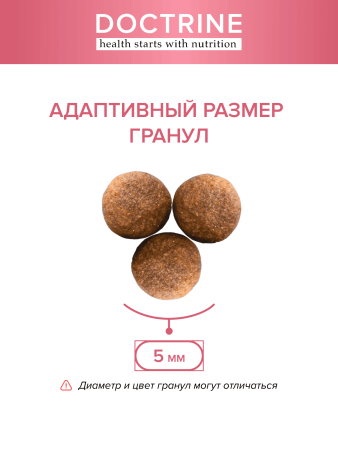 DOCTRINE сухой корм для котят всех пород с индейкой и рисом