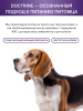DOCTRINE сухой корм для взрослых собак средних и крупных пород с белой рыбой и рисом