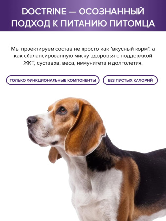 DOCTRINE сухой корм для взрослых собак средних и крупных пород с белой рыбой и рисом