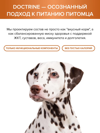 DOCTRINE сухой корм для взрослых собак всех пород с индейкой и рисом