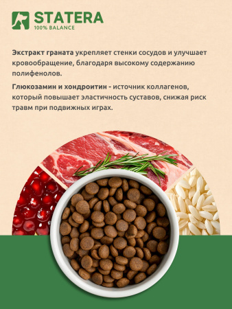 STATERA сухой корм для взрослых кошек и котов с говядиной