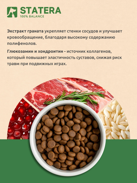 STATERA сухой корм для взрослых кошек и котов с говядиной