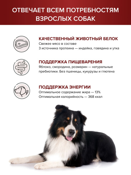 DOCTRINE сухой корм для взрослых собак средних и крупных пород с индейкой, говядиной, уткой,свежим мясом