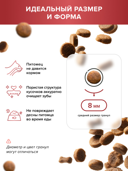 DOCTRINE сухой корм для взрослых кошек и котов с индейкой, ягненком и рисом